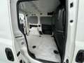 Fiat Doblo Kasten+MwSt.+Inspektion NEU Weiß - thumbnail 6