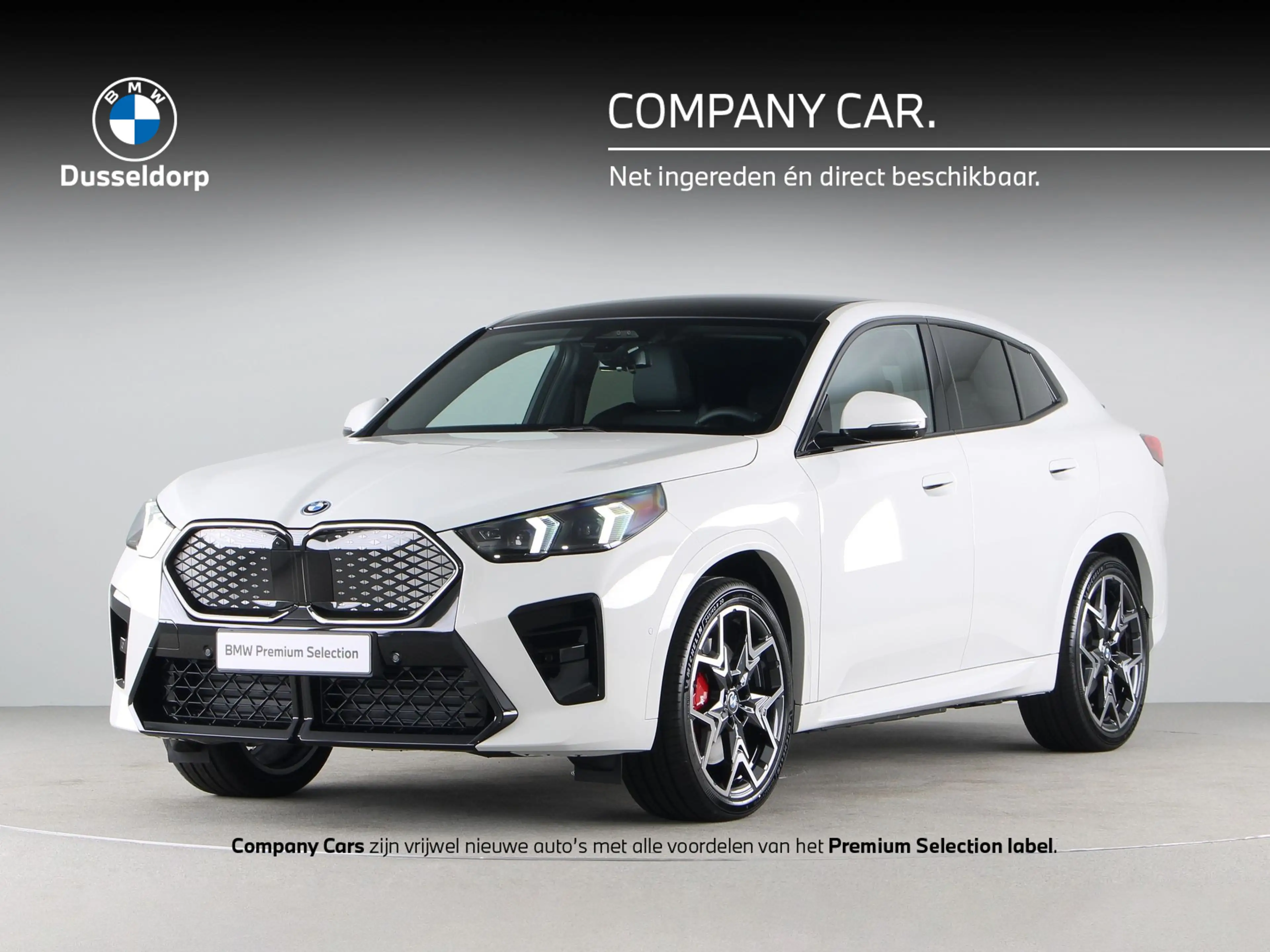 BMW iX2 eDrive20 67 kWh M-sport Pro