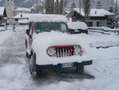 Jeep Wrangler Wrangler Soft Top 4.0 Sport 65th auto Rosso - thumbnail 19