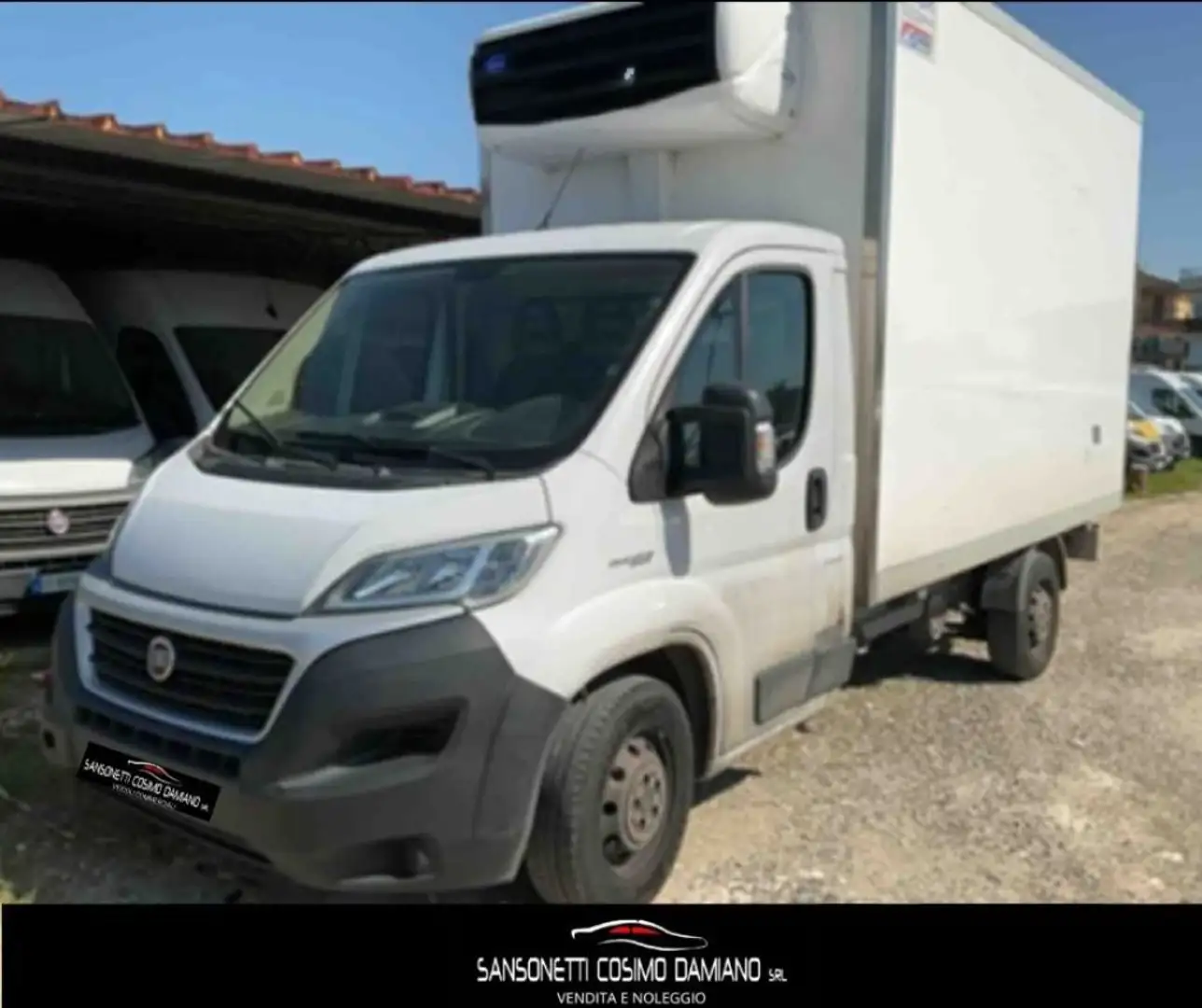 Fiat Ducato 35 2.3 MJT 130CV PL Cabinato Maxi FRIGO FRCX -20° Bianco - 1
