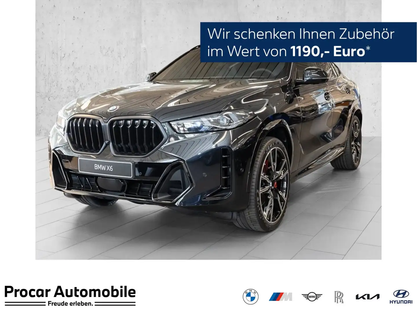 BMW X6 xDrive40d MSport PANO HuD AHK B/W DA Prof Schwarz - 1