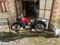 Gilera Saturno - thumbnail 10