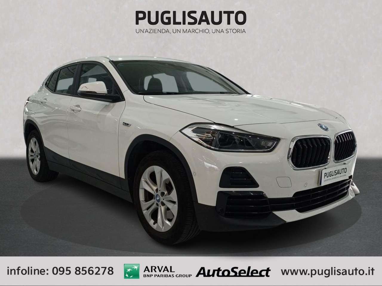 BMW X2 xDrive25e Business-X