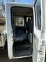 Mercedes-Benz Sprinter 311 CDI DOKA Pritsche,EXPORT Blanc - thumbnail 12