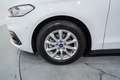 Ford Mondeo 2.0TDCI Trend 150 Blanco - thumbnail 11