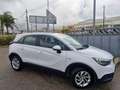 Opel Crossland Opel Crossland X 1.2 83cv Full Optional 2021 Blanco - thumbnail 7