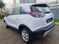Opel Crossland Opel Crossland X 1.2 83cv Full Optional 2021 Blanco - thumbnail 3