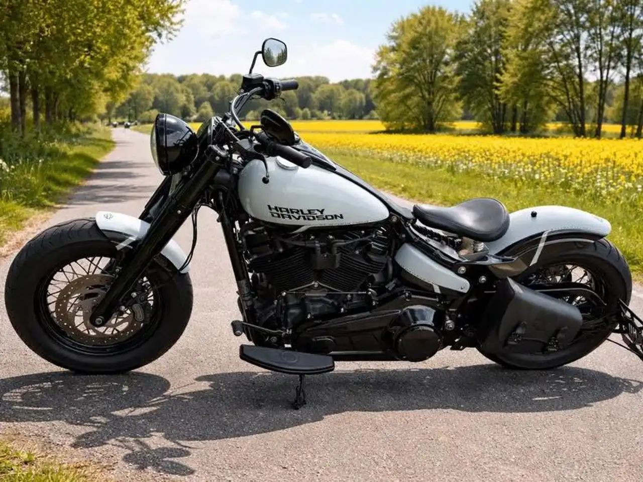 Harley-Davidson Softail Slim
