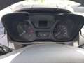 Ford Transit Custom Transit Custom Variobus 2.0 TDCI L2H1 310 Trend Blanc - thumbnail 14