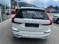 Volvo XC60 XC60 T6 AWD Recharge PHEV Inscription *63.000km* Weiß - thumbnail 5