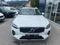 Volvo XC60 XC60 T6 AWD Recharge PHEV Inscription *63.000km* Weiß - thumbnail 2