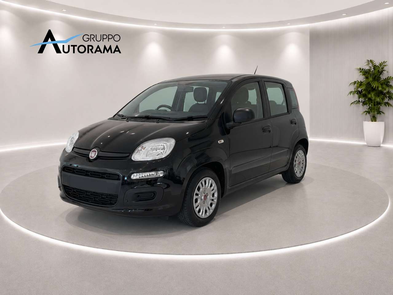 Fiat Panda PANDA 1.0 HYBRID 70CV - KM ZERO