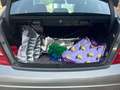 Mercedes-Benz C 350 350CDI Avantgarde 4M Aut. Gris - thumbnail 12