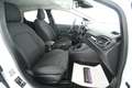 Ford Fiesta 5p 1.0 ecoboost hybrid Titanium s&s 125cv NEOPATEN Bianco - thumbnail 14