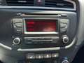 Kia Ceed / cee'd Edition 7 1.4 CVVT Servo Klima USB BT Inspektion n Schwarz - thumbnail 11