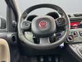 Fiat Panda 4x4 1,3 Multijet II 75 Grün - thumbnail 9