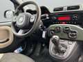 Fiat Panda 4x4 1,3 Multijet II 75 Grün - thumbnail 4