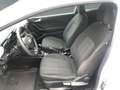 Ford Fiesta 1.1 Trend +Allwetter+Sitzheizung+Klima Blanc - thumbnail 10