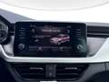 Skoda Kamiq 1.0 g-tec Ambition 90cv Blanc - thumbnail 11