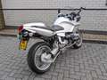 BMW R 1100 S 2004 | Sportuitvoering | NIEUWSTAAT | 31.483 km Grijs - thumbnail 6