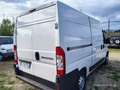 Fiat Ducato Ducato  2.3 MJT PM-TN Furgone Bianco - thumbnail 4