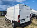 Fiat Ducato Ducato  2.3 MJT PM-TN Furgone Bianco - thumbnail 3
