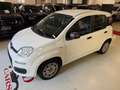 Fiat Panda Panda III 2021 1.2 easypower Gpl s Wit - thumbnail 10
