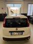Fiat Panda Panda III 2021 1.2 easypower Gpl s Wit - thumbnail 4