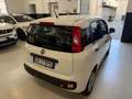 Fiat Panda Panda III 2021 1.2 easypower Gpl s Wit - thumbnail 3