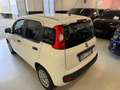 Fiat Panda Panda III 2021 1.2 easypower Gpl s Wit - thumbnail 7