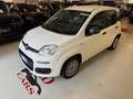 Fiat Panda Panda III 2021 1.2 easypower Gpl s Wit - thumbnail 5