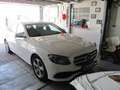 Mercedes-Benz E 250 E 250 T AHK*SHD*Totwinkel* Alb - thumbnail 5