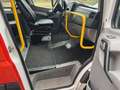 Mercedes-Benz Sprinter 311 / 315 CDI AUT, 9P, ROLLSTUHLLIFT Weiß - thumbnail 11