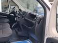 Citroen Jumper L2H2 2.2 bluehdi 120cv S&S IVA ESCLUSA Белый - thumbnail 15