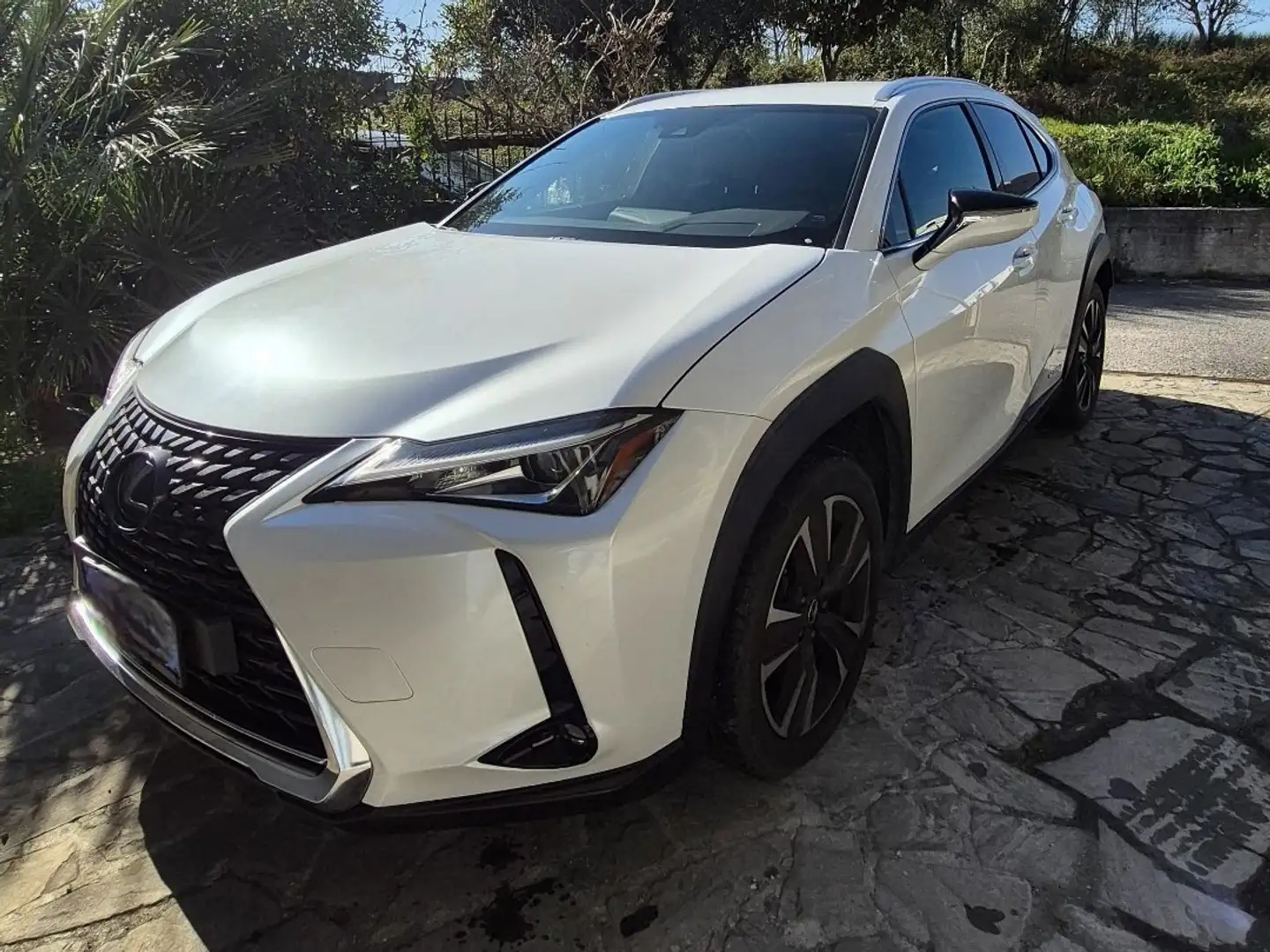 Lexus Lexus UX 250h Premium - 1
