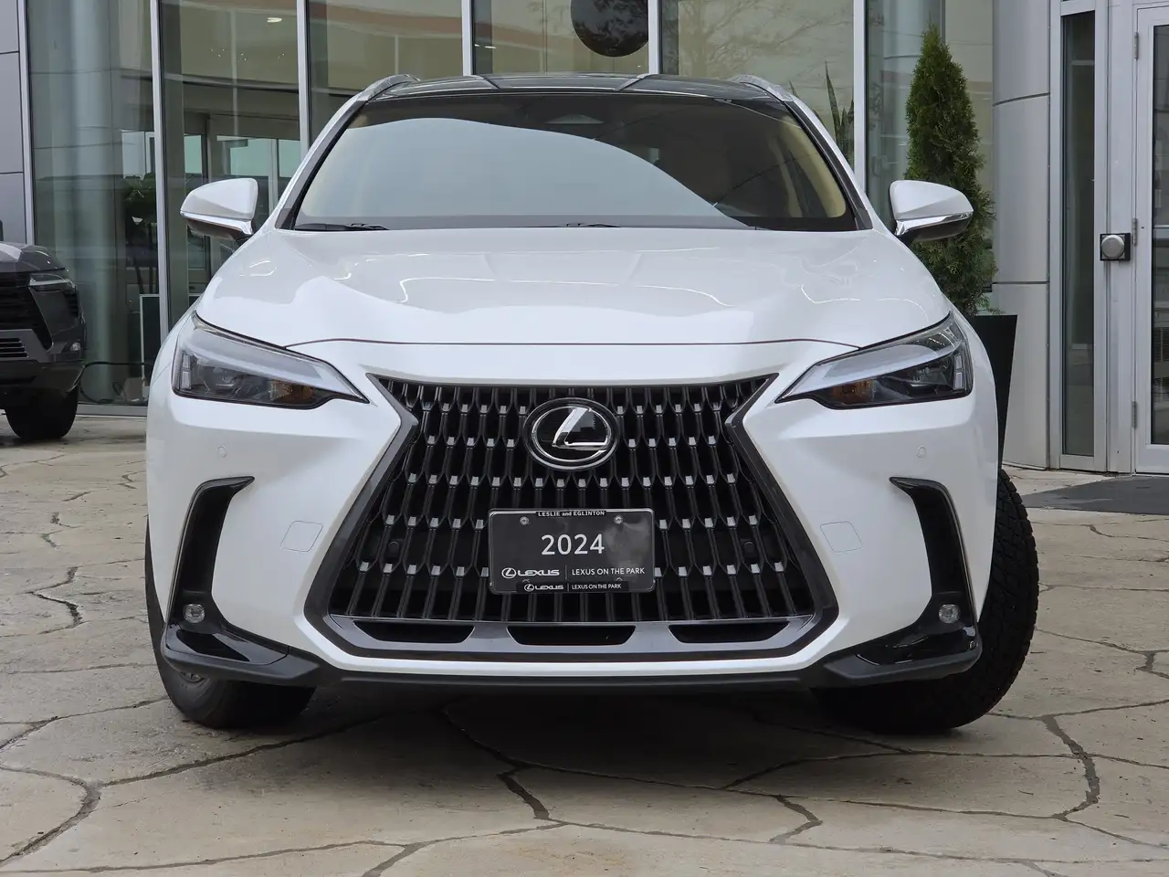Lexus NX fotografie Lexus NX