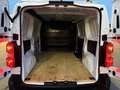 Peugeot Expert Fg. Standard 1.5BlueHDi S&S Premium 120 Blanco - thumbnail 26