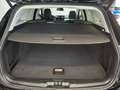 Ford Focus Kombi 1.5 EcoBlue Aut. Titanium X, AHK, Winter-Paket Schwarz - thumbnail 12