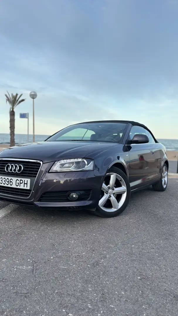 Audi A3 Cabrio 2.0TDI Attraction DPF - 2