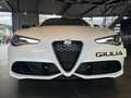 Alfa Romeo Giulia Veloce Q4 Blanc - thumbnail 2