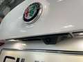Alfa Romeo Giulia Veloce Q4 Blanc - thumbnail 8