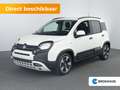 Fiat Panda 1.0 Hybrid Pandina | 15” lichtmetalen velgen (185/ Wit - thumbnail 1