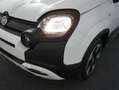 Fiat Panda 1.0 Hybrid Pandina | 15” lichtmetalen velgen (185/ Wit - thumbnail 15