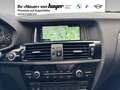 BMW X3 xDrive20d Head-Up Xenon Standhzg. RFK PDC Gris - thumbnail 9