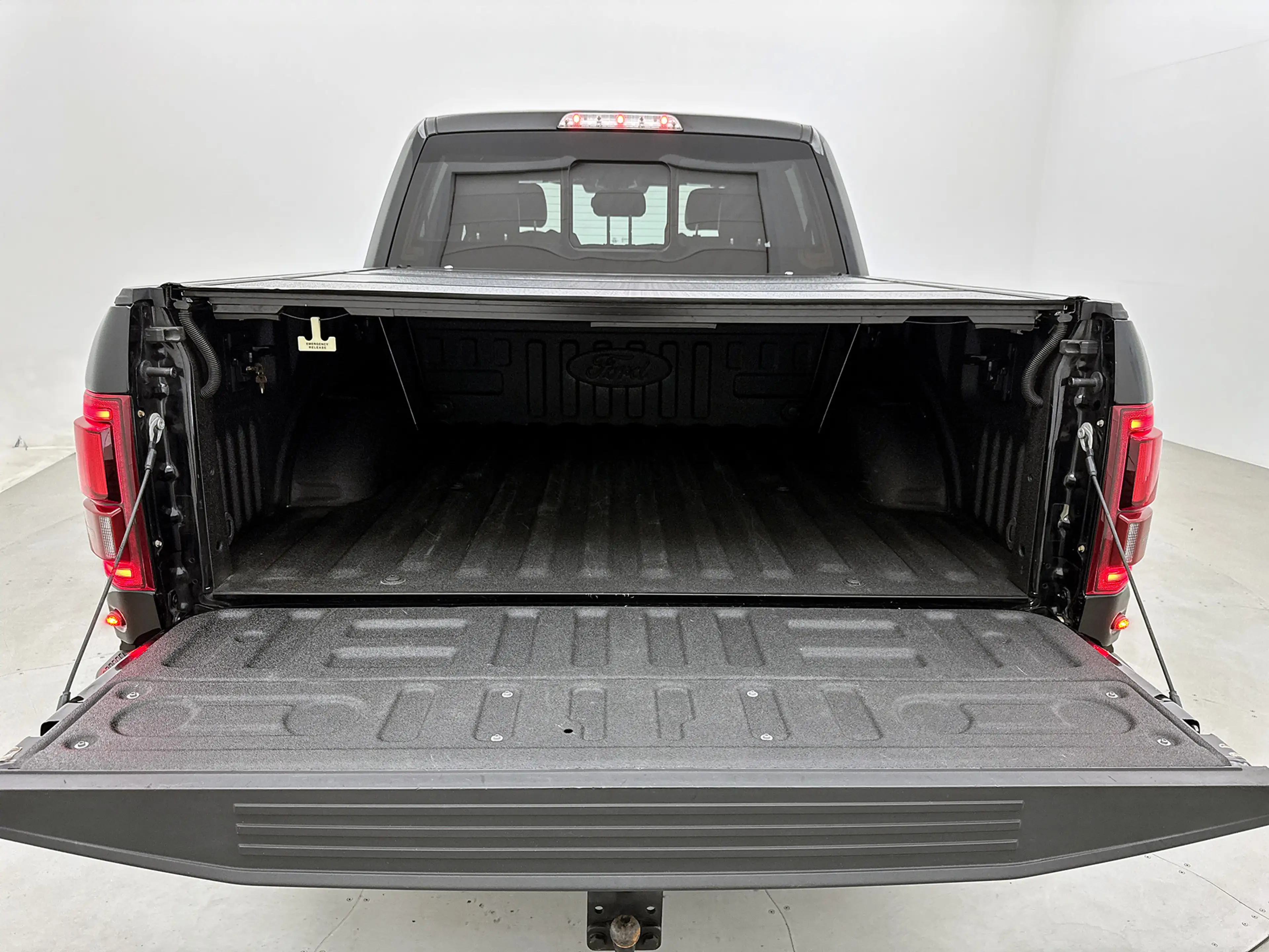 Ford F 150 USA 3.5 V6 Ecoboost SuperCrew Raptor Black Rhino w — photo 18
