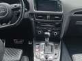Audi SQ5 3.0 TDi V6 Quattro Plus Tiptronic Gris - thumbnail 7