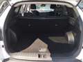 Hyundai TUCSON III 2021 1.6 hev Exellence 2wd auto White - thumbnail 10