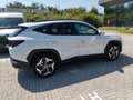 Hyundai TUCSON III 2021 1.6 hev Exellence 2wd auto White - thumbnail 6