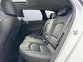 Kia Ceed SW / cee'd SW Sportswagon 1.6 Plug-in Hybrid PHEV Platinum Navi Blanco - thumbnail 17