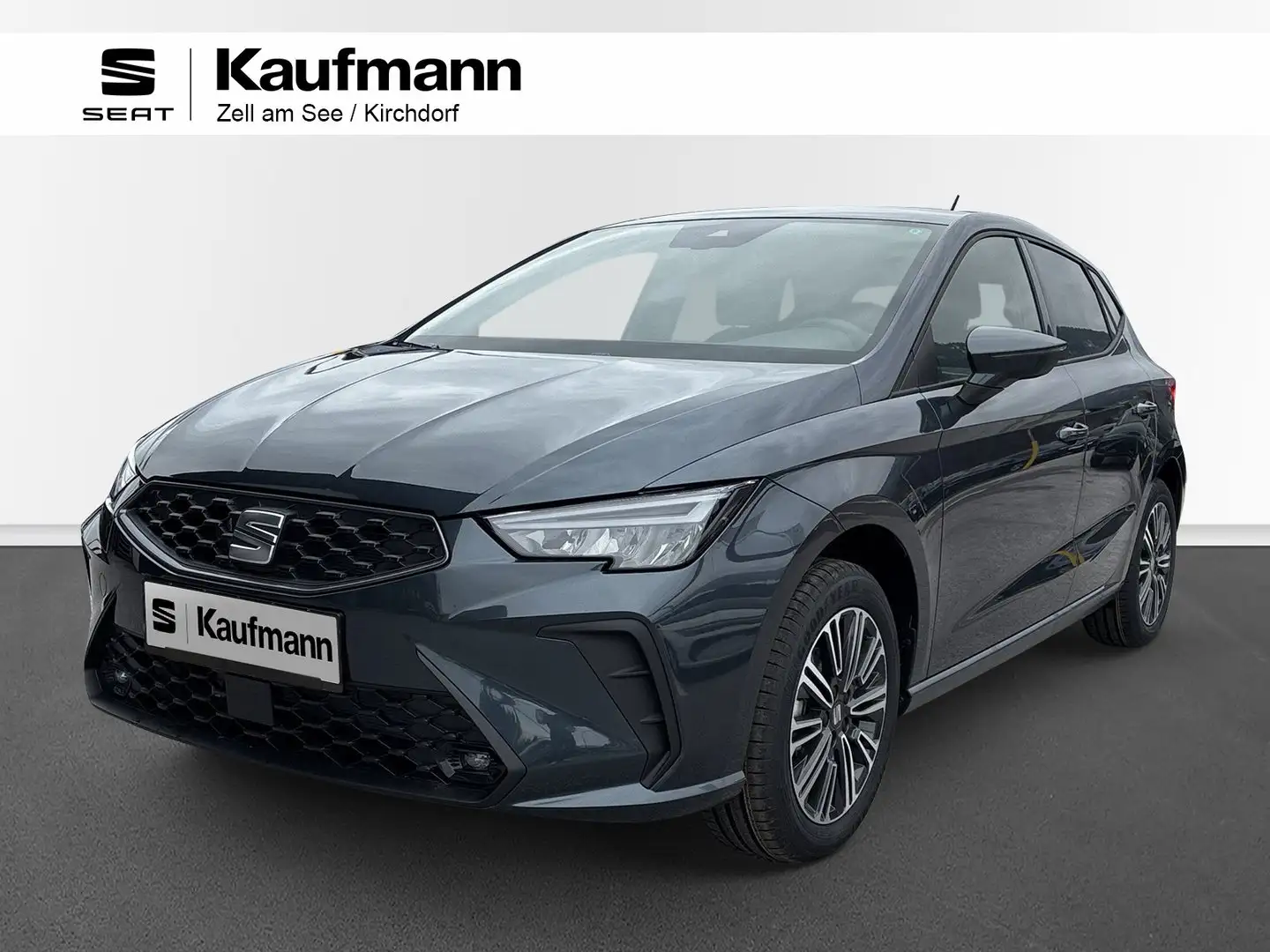 SEAT Ibiza Style Edition 1.0 TSI 95PS Grau - 1